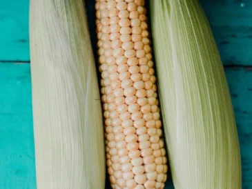jak ugotować kukurydzę