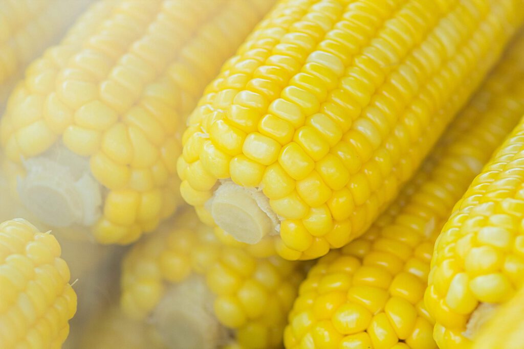 trawienie kukurydzy
